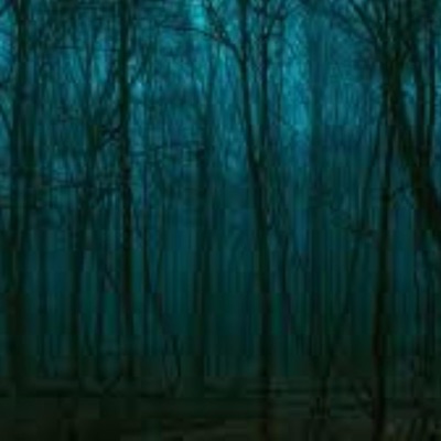 in the snow - Single