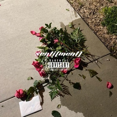 Sentiment (feat. Fils FRT) - Single