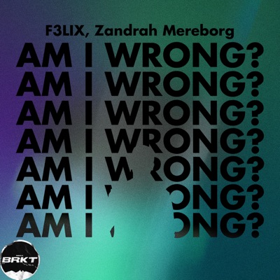 Am I Wrong? - Single