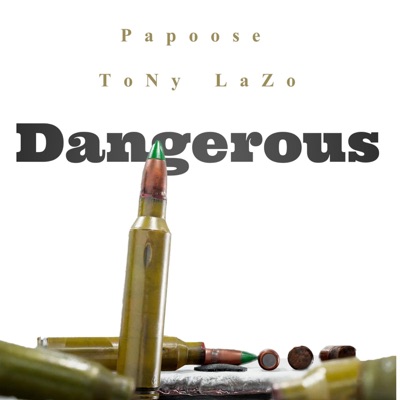 Dangerous (feat. Papoose) - Single