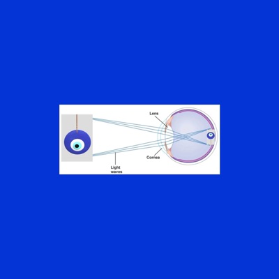 Direct Nazar - Single