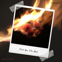 Wish You The Best - Single - Iismaill & Don Jesse