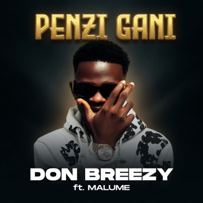 Penzi Gani (feat. Malume) - Single