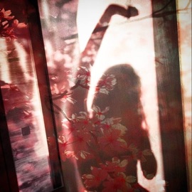 Сакура рассвет139