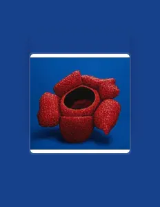 Ascolta SPiCY BEiJiNG DUCK, guarda video musicali, leggi la biografia, vedi le date del tour & altro!