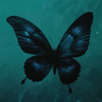 butterfly effect (Spedup) - Single - Ashess & vishæs
