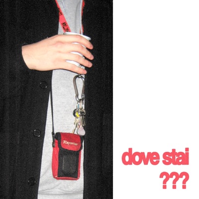 dove stai??? - Single