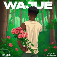 Wajue - Single - Dayoo