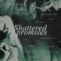 Shattered promises - kippy