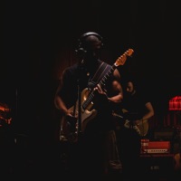 Lonely in the Jungle