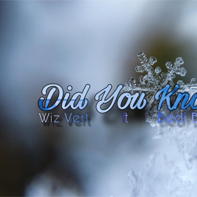 Did you know (feat. Bedi best) - Single