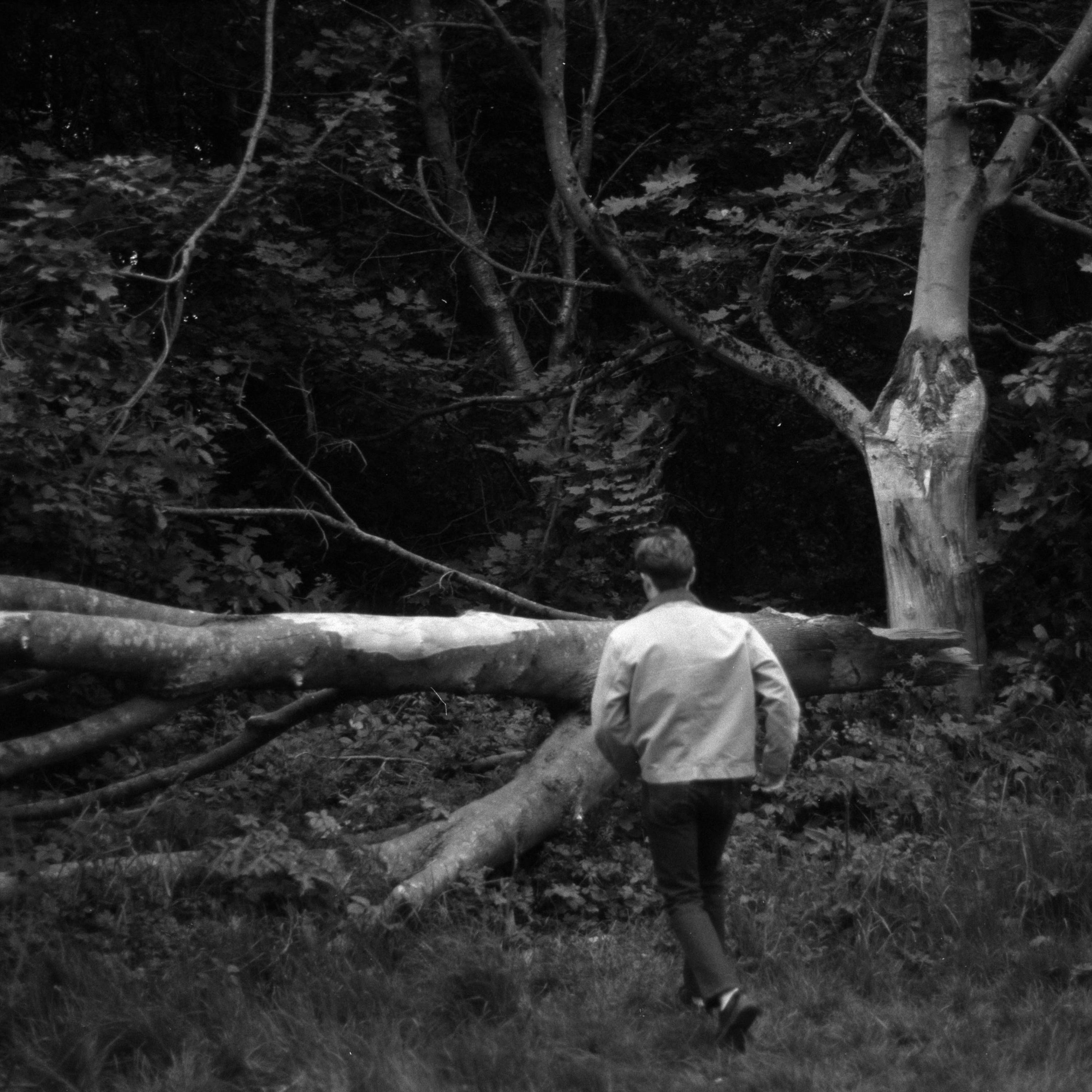 Where Did You Go? - Single