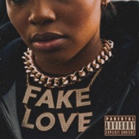 Fake Love (feat. D-Raww) - Single - Tw1ncam