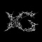 HOWLING - XG lyrics