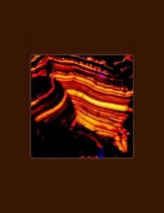 Luister naar Amix, bekijk muziekvideo's, lees de bio, bekijk de tourdata, en meer!