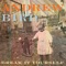 Lazy Projector - Andrew Bird lyrics