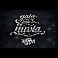 GATA BAJO LA LLUVIA