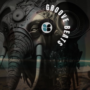 Groove Beats - Single