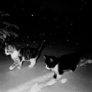 Innocence - Hildir Svensson & Deprezz