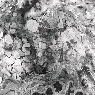 Aerial: White Noise Studies