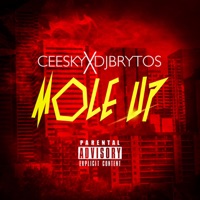 Mole Up (feat. DJ Brytos) - Single - Ceesky