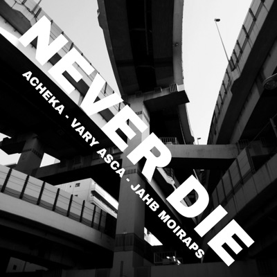 Never Die (feat. Vary Asca & Jahb Moiraps) - Single