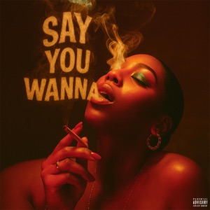 Say You Wanna (feat. J’ Sean & VoyceSoLit)