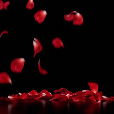 Love Song For The Ladies - Single