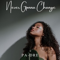 Never Gonna Change - PA-DRE