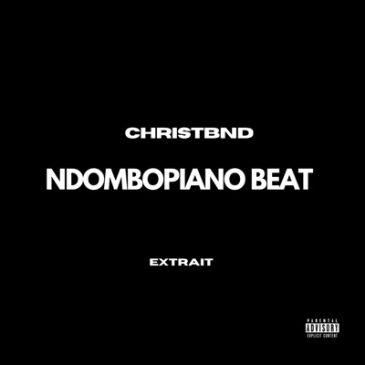 NDOMBOPIANO BEAT - Single