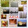 Aria - La maison de l'escargot gris