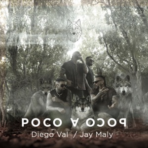 Poco a Poco (feat. Jay Maly)