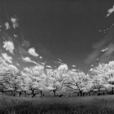 she's no one - Single