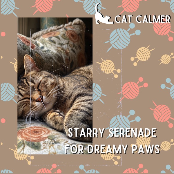 Starry Serenade for Dreamy Paws
