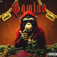 BAWINO (feat. Flame 火炎) - Single - Enzaw & Quake55