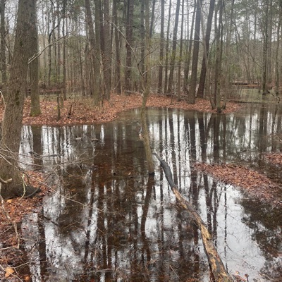 The World Is Yours EP.