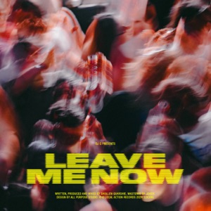 Leave Me Now - Single