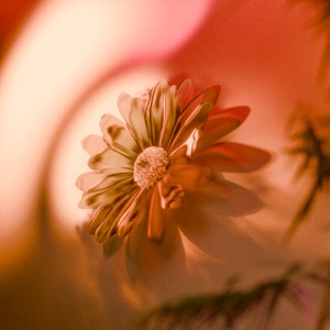 liminal - EP