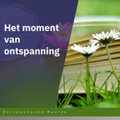 Diepe Regeneratie na het Werk
