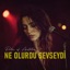 Ne Olurdu Sevseydi - Single