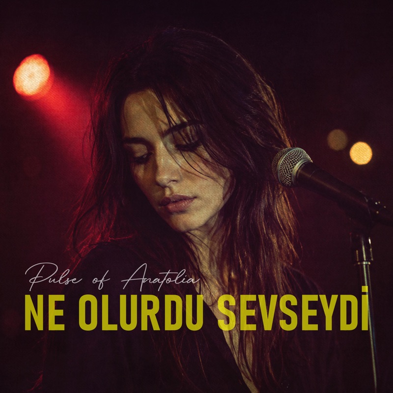 Ne Olurdu Sevseydi