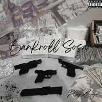 Plug Lingo (feat. Loso, Opalocka & TT) - Single - Bankroll Sosa