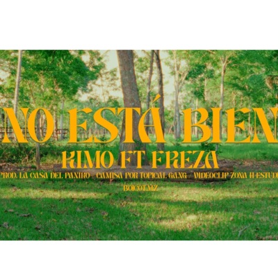 No está bien (feat. FREZA) - Single