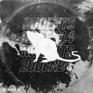 R 14 - Single
