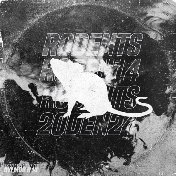 R 14 - Single