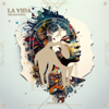 La Vida - Breakstorm & Cafe De Anatolia