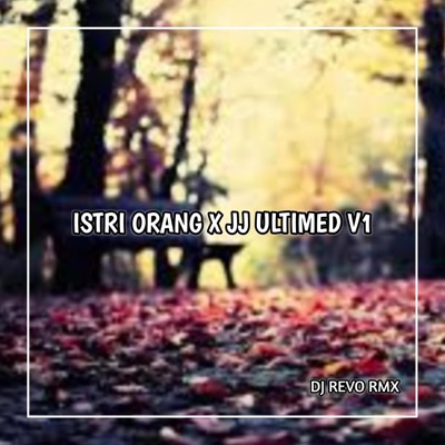 DANZZ MUSIC - UDAH PERNAH KECANTOL ISTRI ORANG BELOM DEK JANGAN YA DEK YA X JJ ULTIMED V1