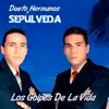 Dueto Hermanos Sepúlveda - Jesucristo Es Dios