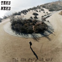 Dos cossos que corren per la sorra (Outro) (feat. Fat Chets) - Single - Teks Meks