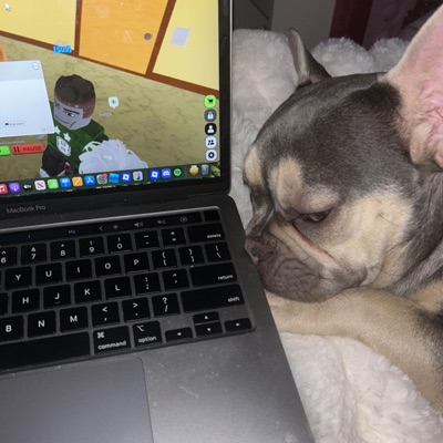 my heart hurts - Single